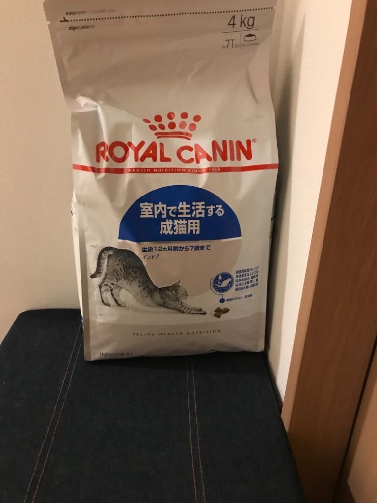 ロイヤルカナン 猫 インドア 4kg (成猫用 生後12ヵ月齢から7歳 室内で生活する猫用 FHN キャットフード) 正規品  :9214406:にゃんこの生活 - 通販 - Yahoo!ショッピング