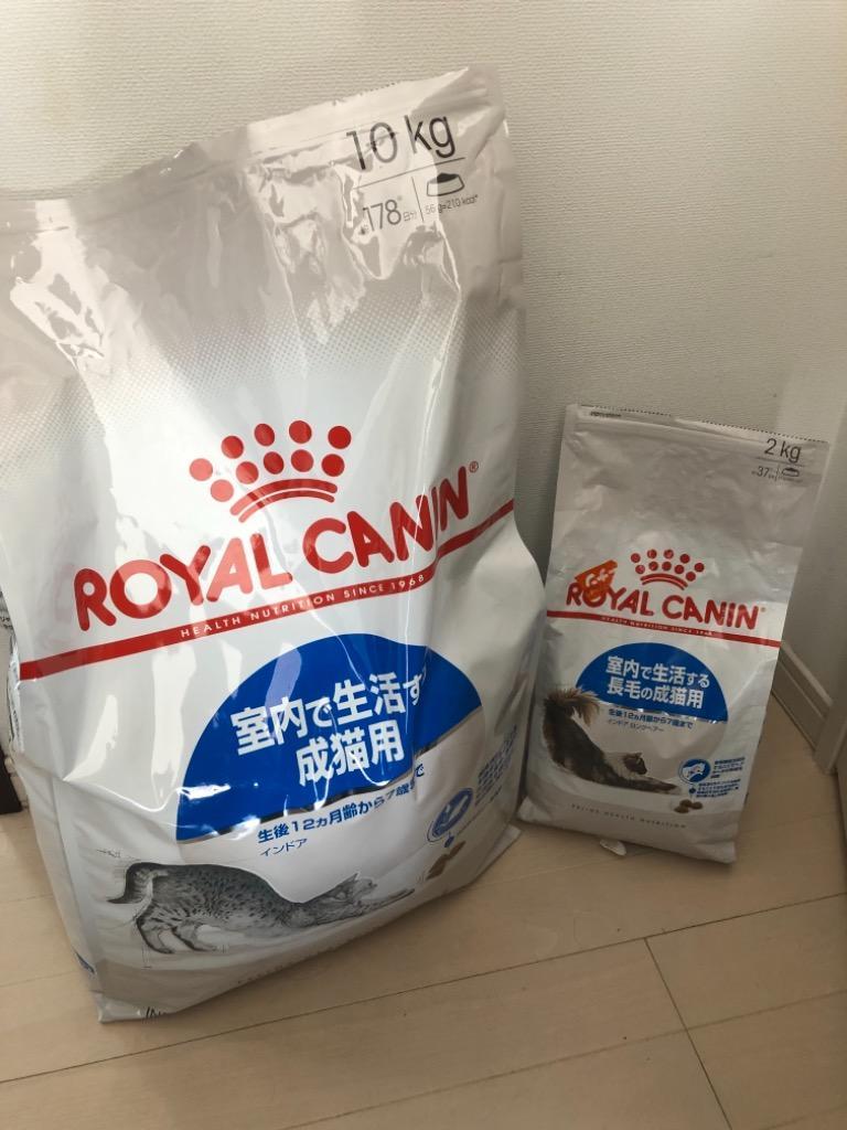 ロイヤルカナン 猫用 インドア 10kg 室内猫・成猫用 D キャットフード