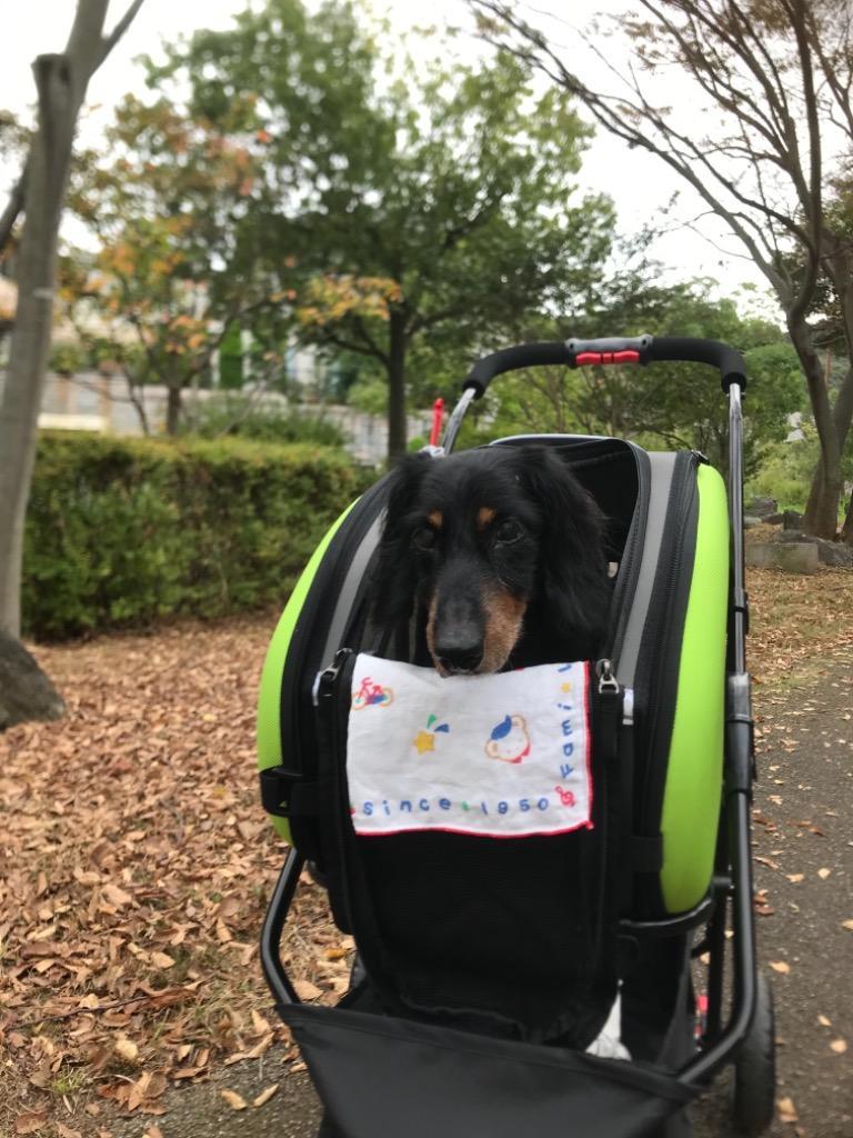 IRIS OHYAMA ペットキャリー 小型 4way 犬 猫 ペットカート IRIS OHYAMA ペットキャリー 小型 4way 犬 猫 ペットカート