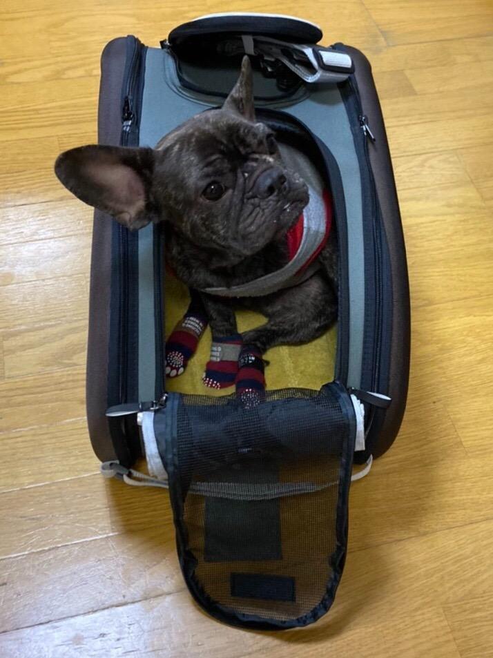 IRIS OHYAMA ペットキャリー 小型 4way 犬 猫 ペットカート IRIS OHYAMA ペットキャリー 小型 4way 犬 猫 ペットカート