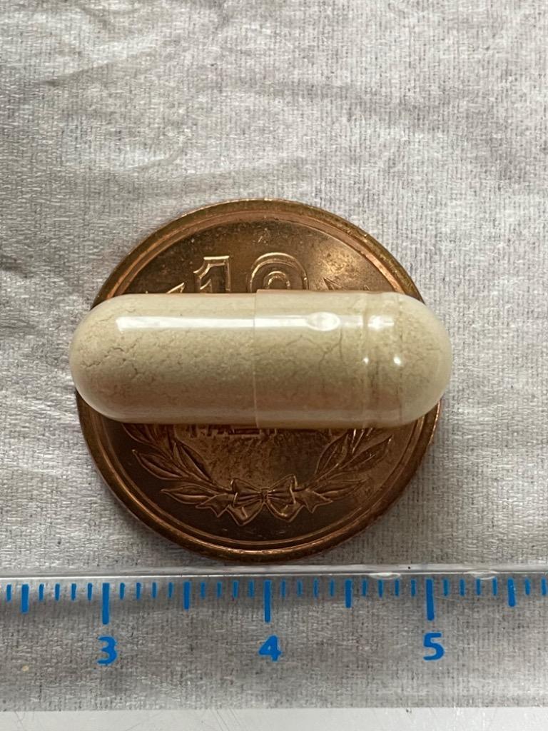 プラセンタ 40000mg 60カプセル 高濃度 羊 プラセンタ  サプリメント【2個セット】ニュージーランド（NZヘルスフード社）｜産地正規品｜送料込み｜追跡発送｜