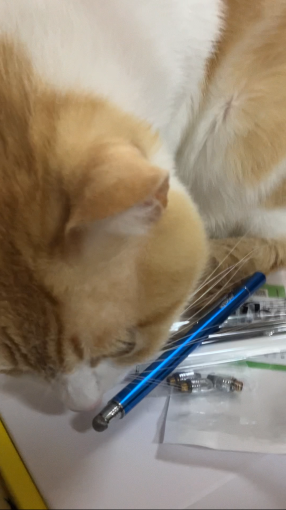 レビュー画像