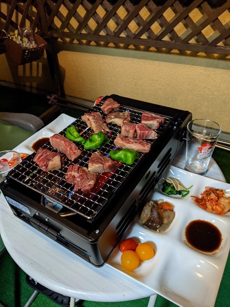 NITINEN(ニチネン) ジュージューボーイ2 卓上用ガスバーベキューコンロ KC-111 BBQ キャンプ 焼き網 アウトドア  :4944405013172-A:オブザベーションズ - 通販 - Yahoo!ショッピング