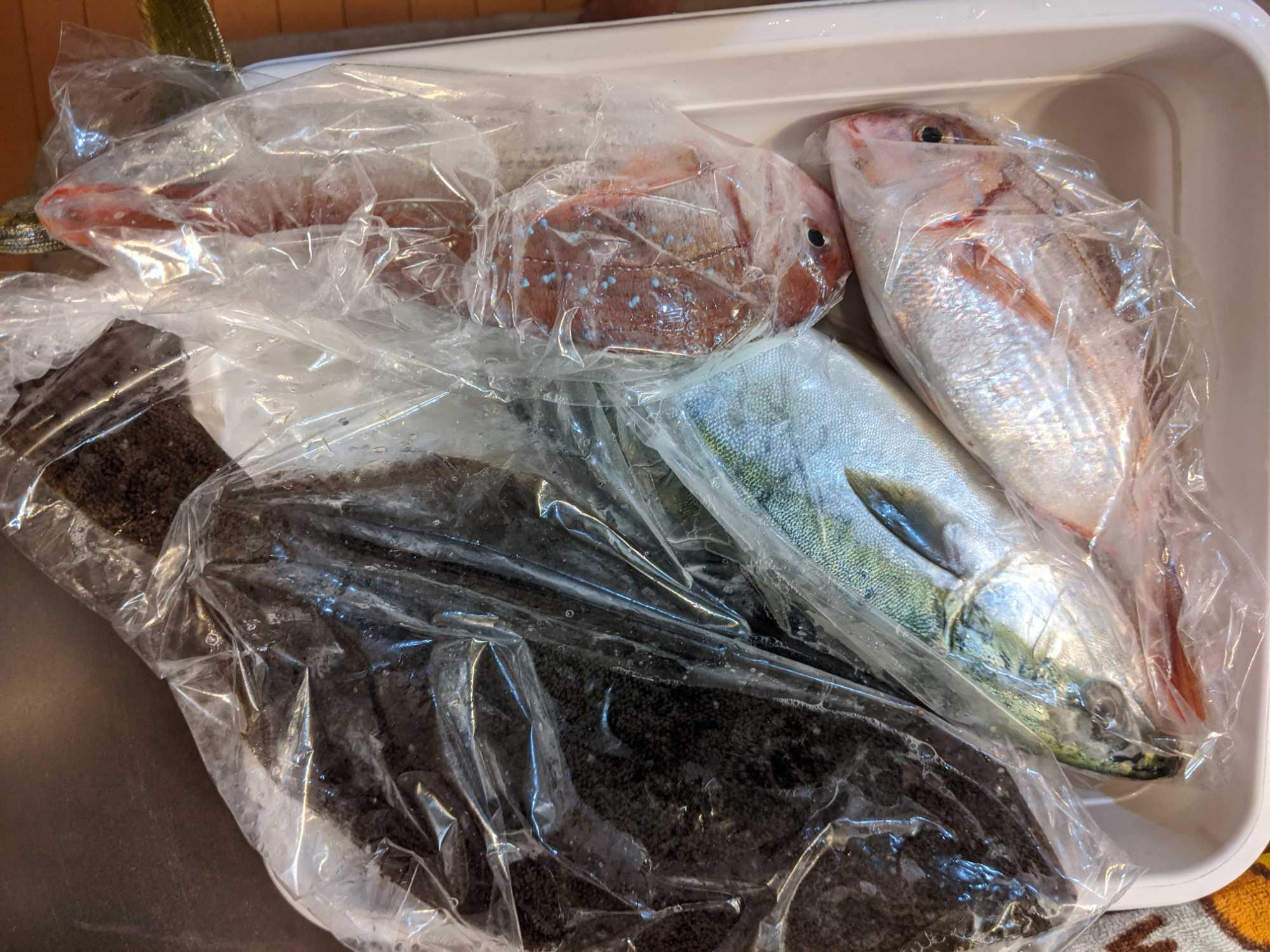 朝獲れ 鮮魚 セット 青森 尾駮漁港 3000円 贈り物 お歳暮 魚詰合せ :obc-as0001:尾駮鮮魚団Yahoo!店 - 通販 -  Yahoo!ショッピング