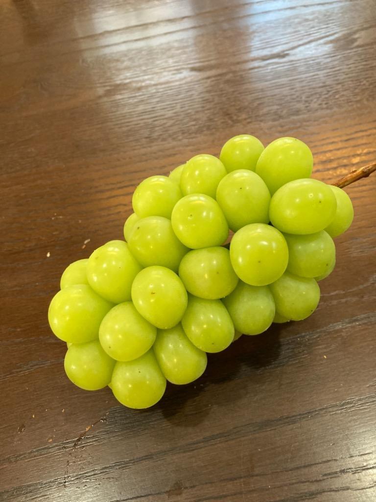 9件目のレビュー画像 | 0