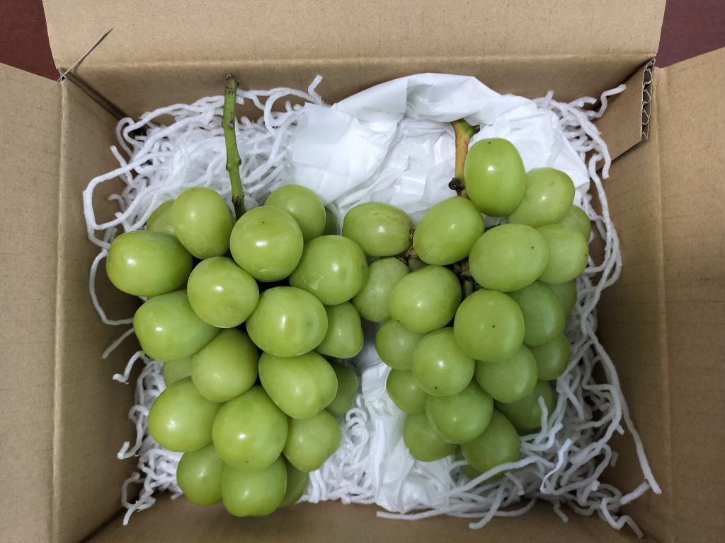 ぶどう シャインマスカット 約1kg /送料無料 常温便 長野 産地