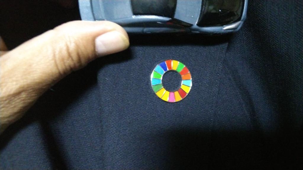 メール便対応 穴をあけずに取り付けられるマグネット式バッジ SDGs マグバッジ SDG-2000 sedia セキセイ  :10010083:アルバムとママ雑貨の店オフィス31 - 通販 - Yahoo!ショッピング