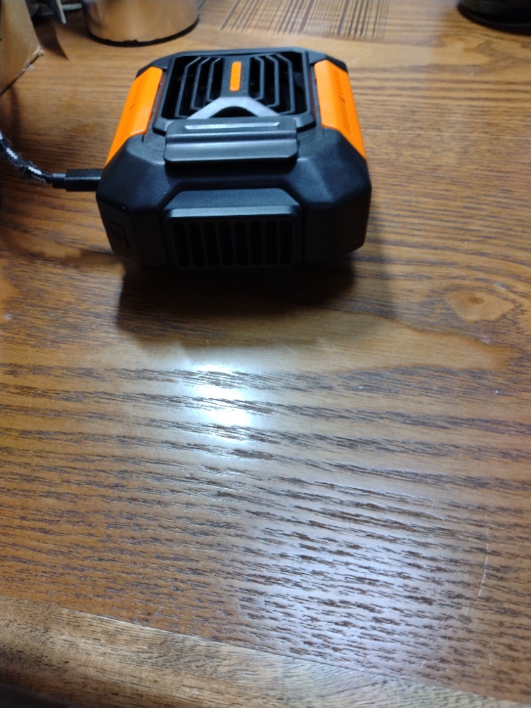 レビュー画像