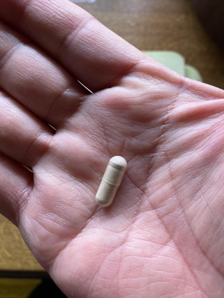 全体のレビュー画像 | 3-0