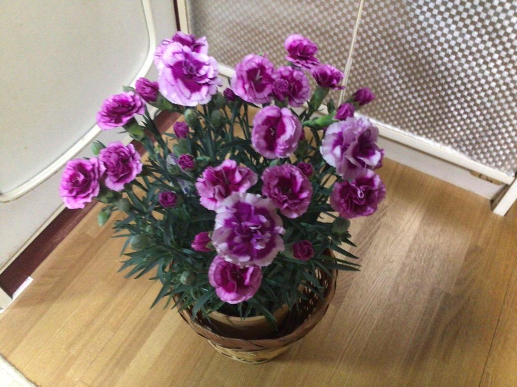全体のレビュー画像 | 1-0