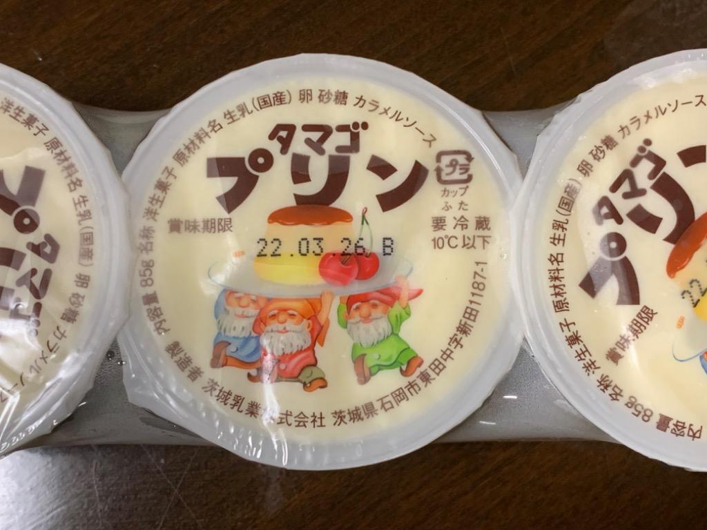 爆買 タマゴプリン ギフト 喫茶店 固め プリン 85g×12個
