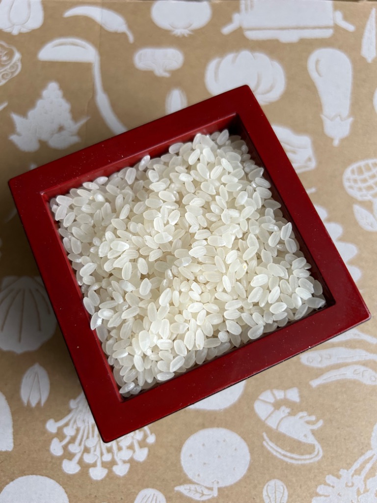 ふるさと納税 赤磐市 米 定期便 4ヶ月 きぬむすめ 10kg(5kg×2袋)岡山県