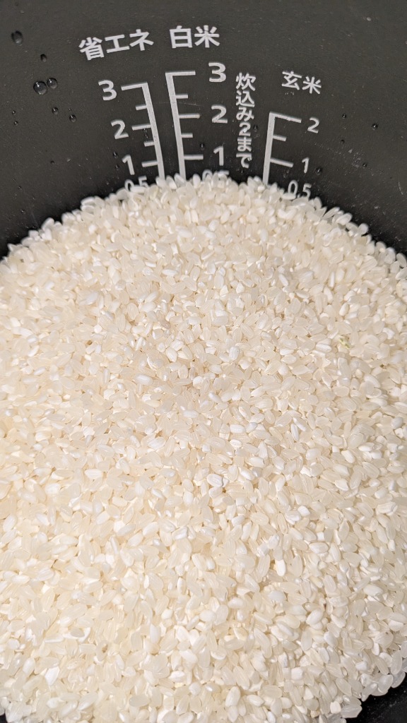 無洗米★岡山米 10kg 岡萬 米 お米 無洗米 岡山米 10kg (5kg×2袋) 令和6年産 岡山県産