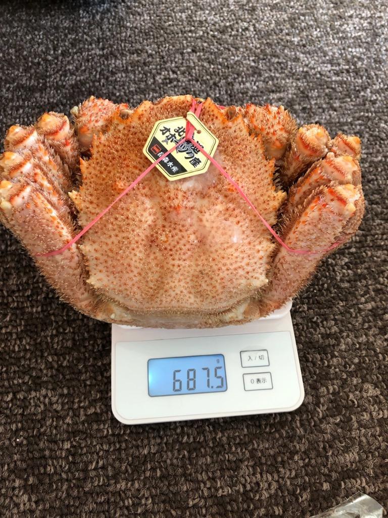 毛ガニ 北海道産 約570g×3尾入 ボイル済 ギフト 送料無料 姿