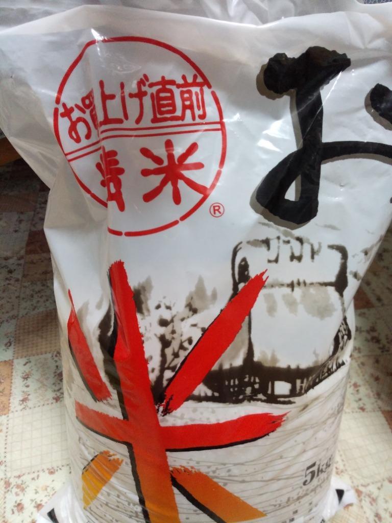 国内産　白米　10kg 国内産 白米 10kgの通販 by ひめ's shop｜ラクマ