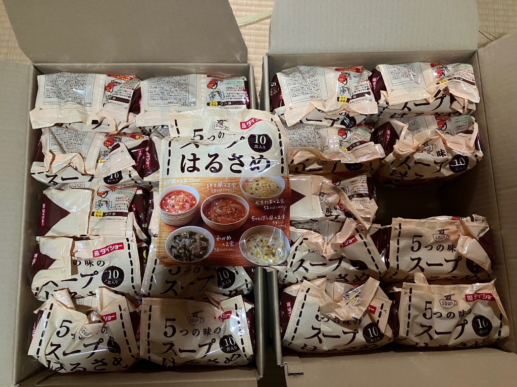 ダイショー 5つの味のスープはるさめ 10食入り(164.6g)×10袋入×1ケース