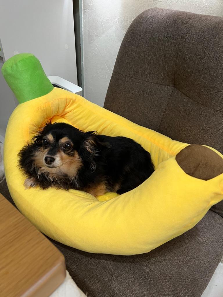 ペットベッド バナナ型ベッド バナナ 犬ベッド ペットベッド 猫用ベッド 犬用ベッド バナナベット バナナベット犬 バナナベット猫 送料無料 :P80:HAMI PET 通販 新品未使用!バナナ型ペットベッド