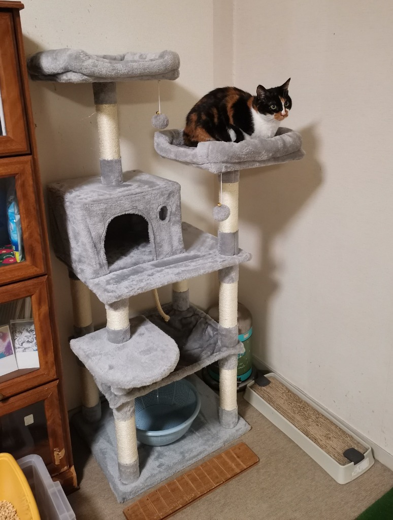 HAMI PET キャットタワー 据え置き 猫タワー 木製 猫 爪とぎ 猫