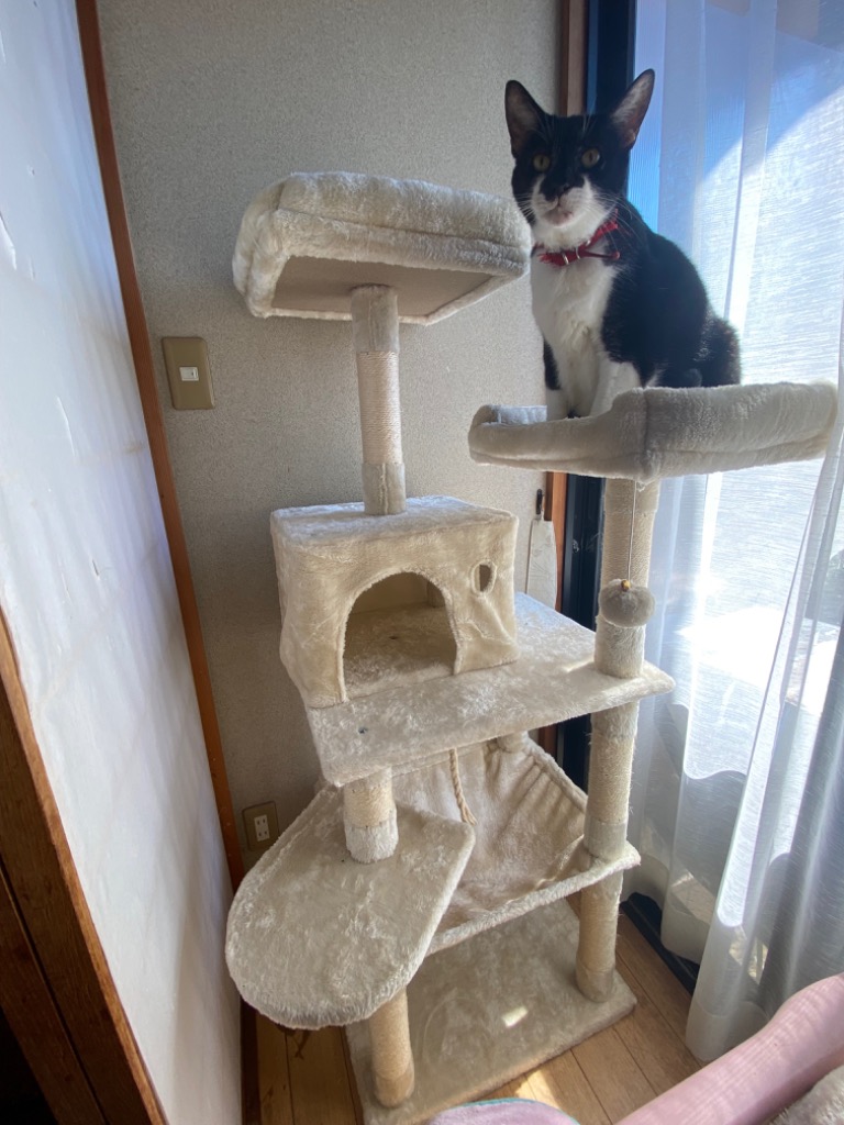 HAMI PET キャットタワー 据え置き 猫タワー 木製 猫 爪とぎ 猫