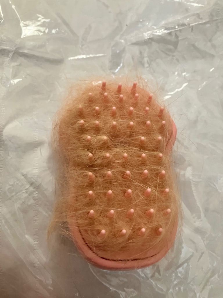 3件目のレビュー画像 | 1