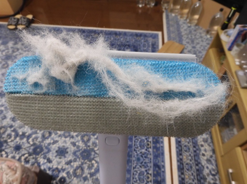 全体のレビュー画像 | 1-0