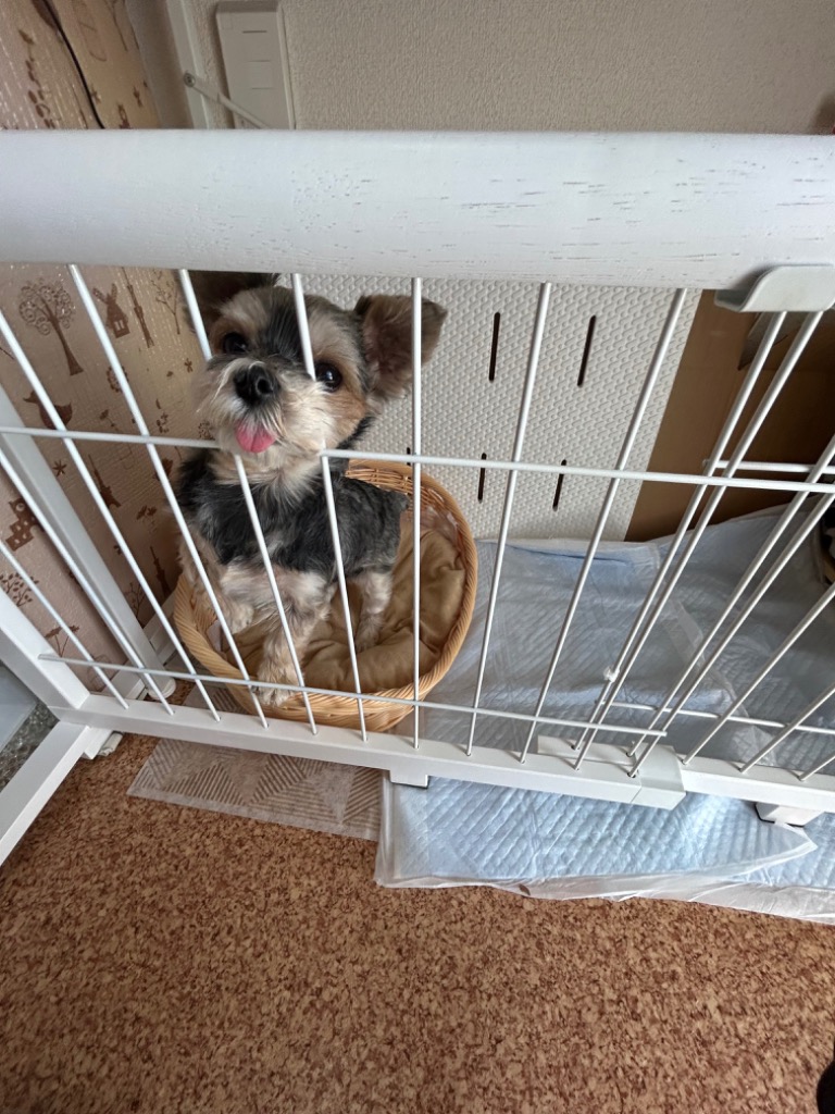 全体のレビュー画像 | 2-0