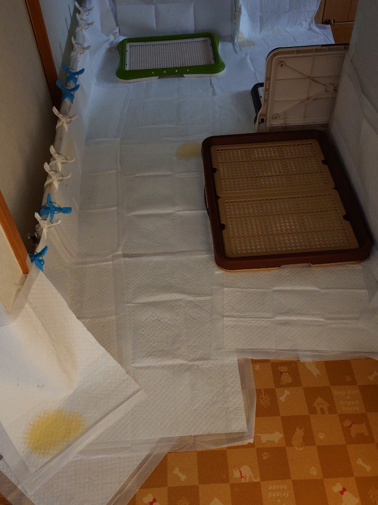 全体のレビュー画像 | 0-0