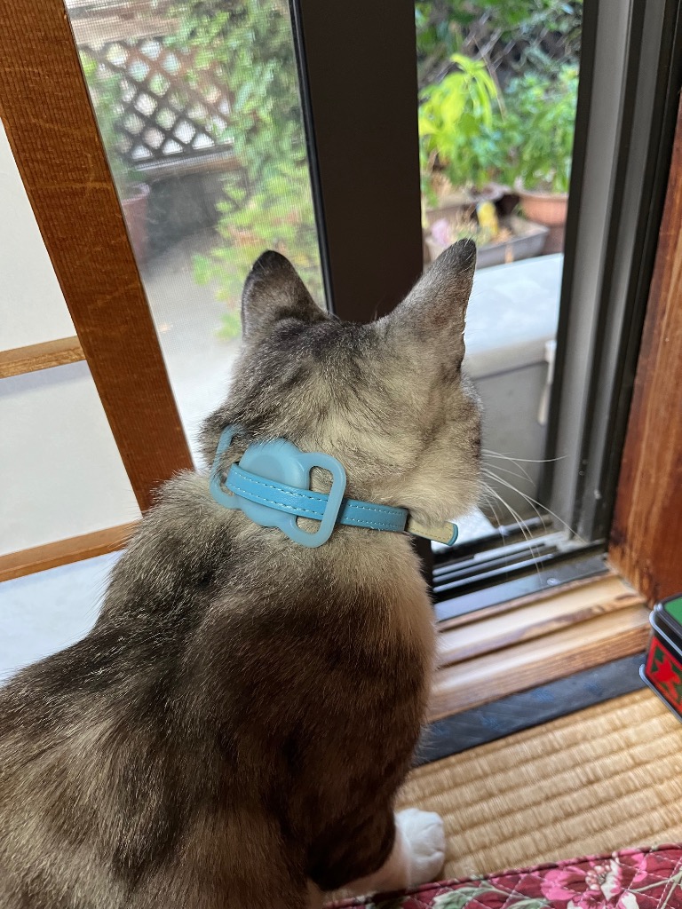 1件目のレビュー画像 | 0