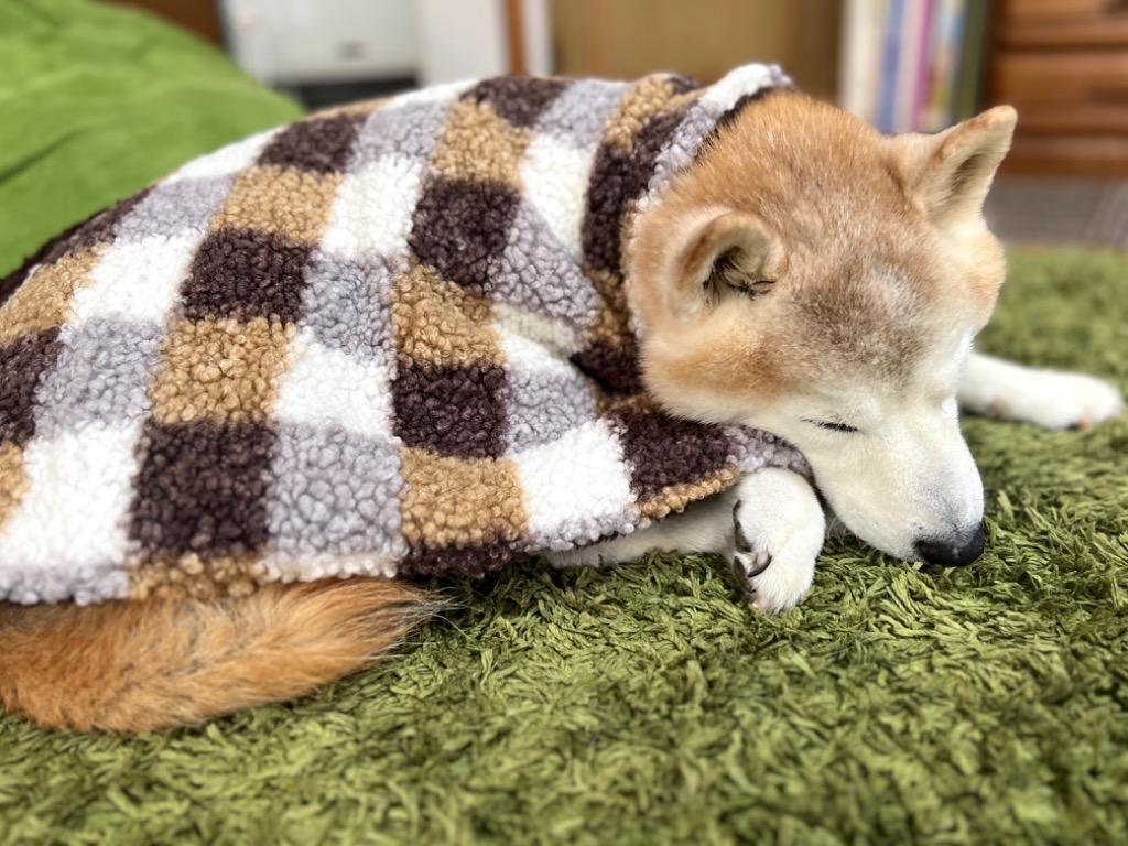 犬 服 毛布 着る毛布 きる毛布 暖かい 柴犬 豆柴 中型犬 ポンチョ 防寒 犬服 犬用品 毛布ポンチョ ハート 裏ぽか 〜11kg