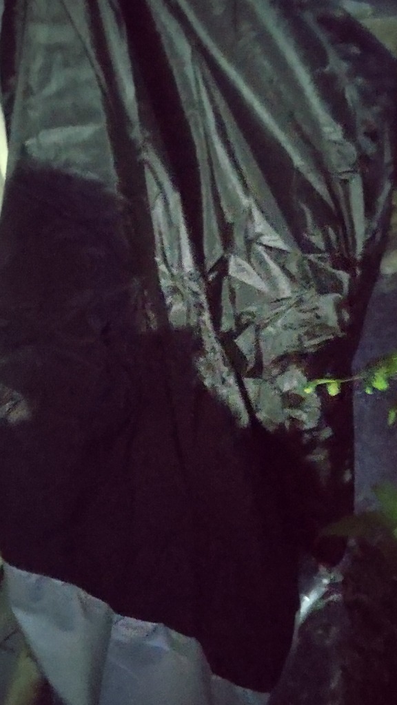 全体のレビュー画像 | 0-0