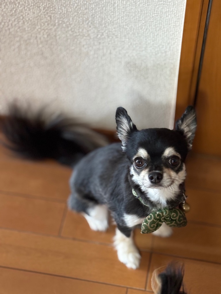 全体のレビュー画像 | 3-1