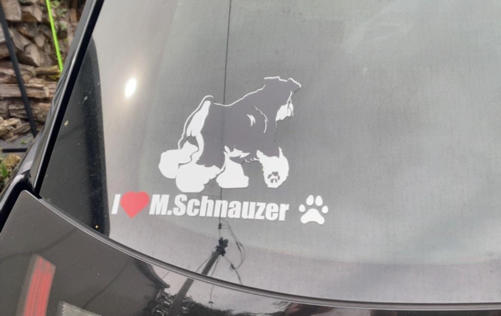 全体のレビュー画像 | 2-0