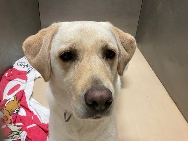 1件目のレビュー画像 | 0