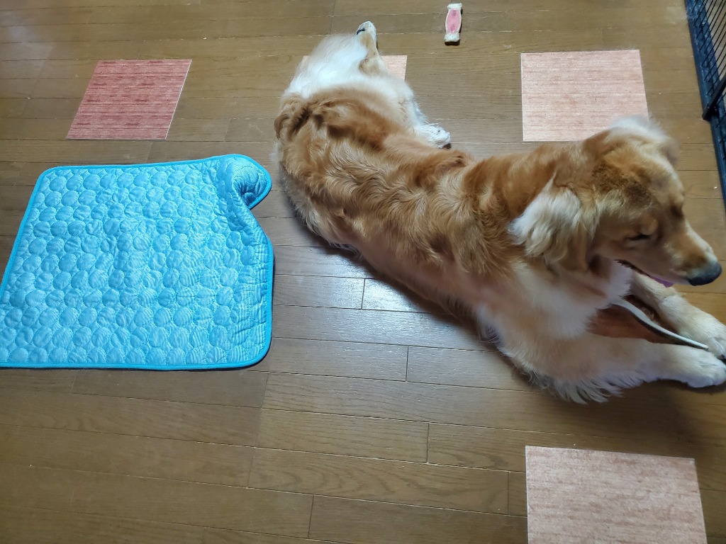 全体のレビュー画像 | 0-0