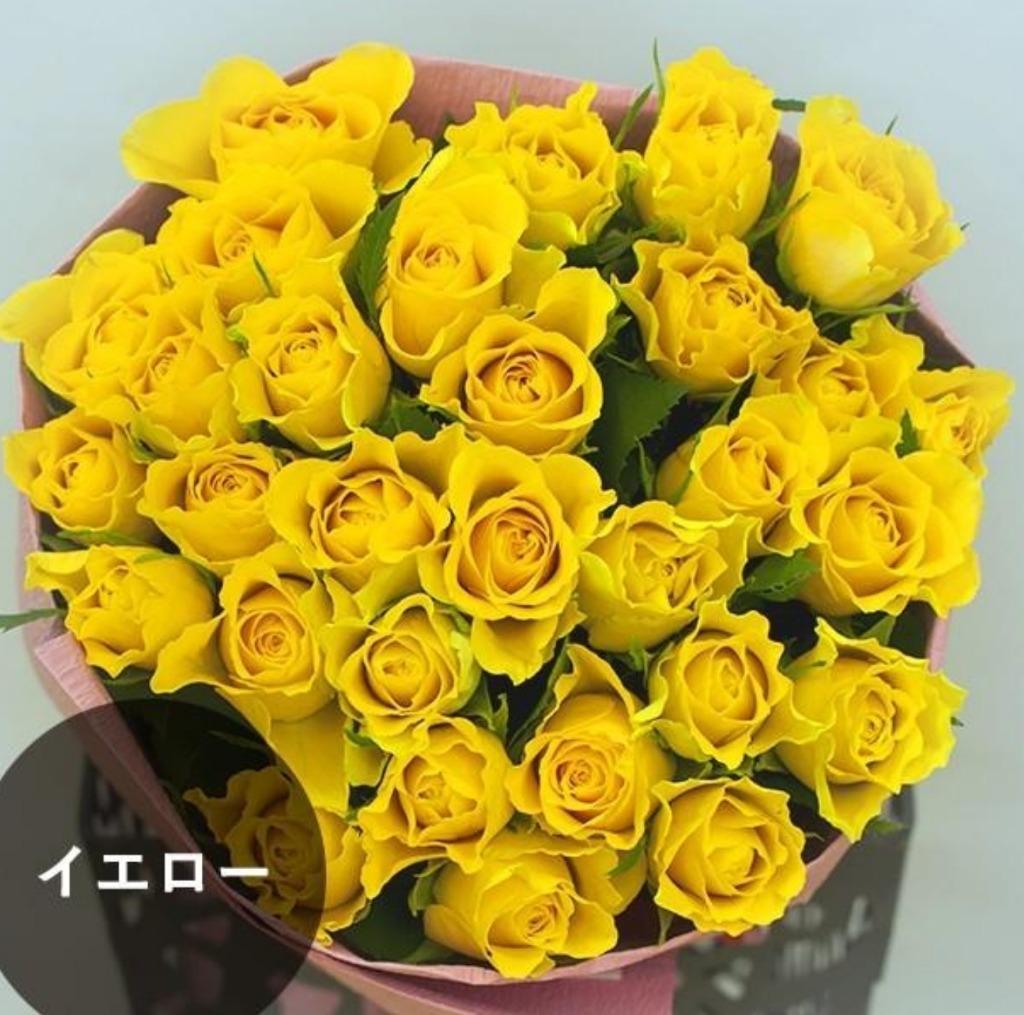 バラ30本の花束 カラーが選べる5色 : フラワーショップ オランダ