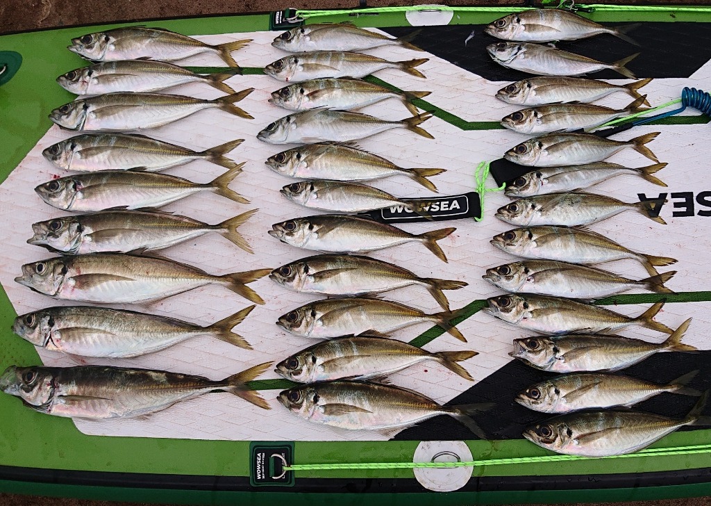 おり釣具 Shallow Next(シャローネクスト)小船 165-180 (15〜50号)(30
