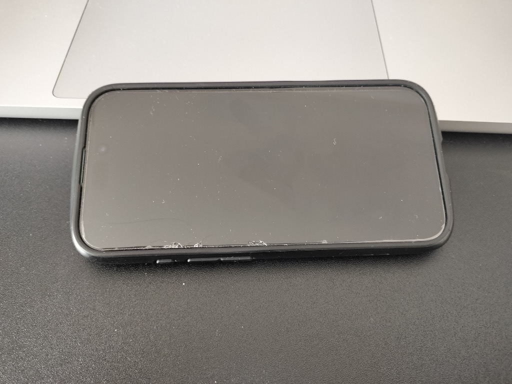 全体のレビュー画像 | 1-0