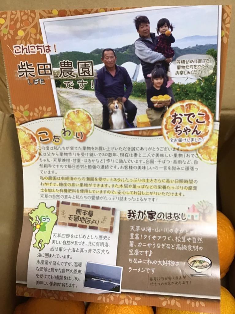 全体のレビュー画像 | 9-0
