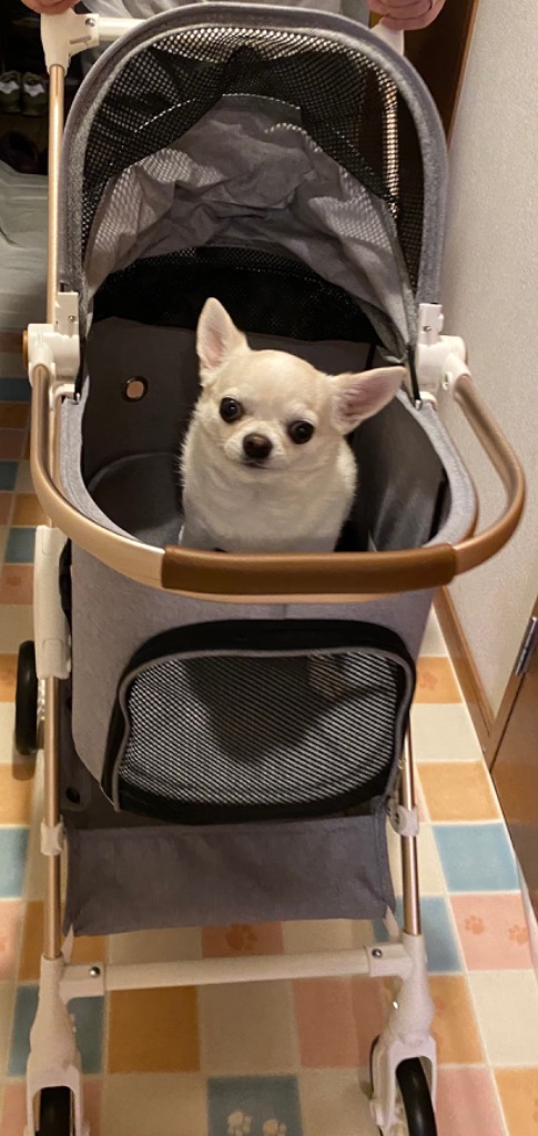 レビュー画像