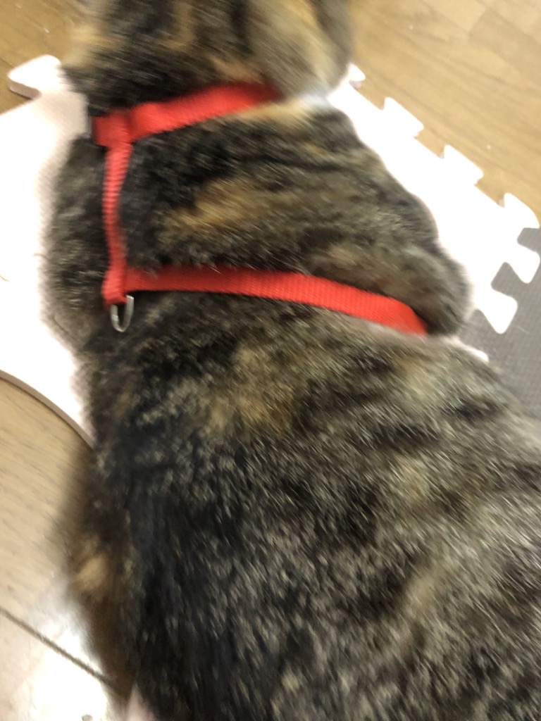 全体のレビュー画像 | 0-1