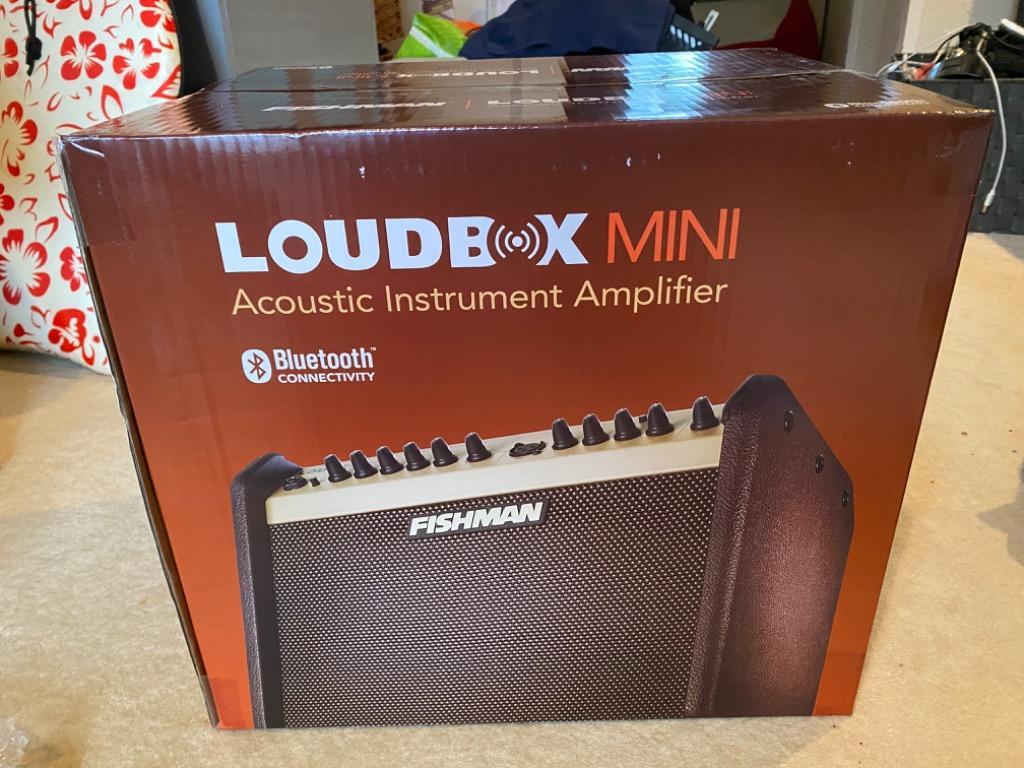 アコギ アンプ フィッシュマン ラウドボックス ミニ FISHMAN LOUDBOX