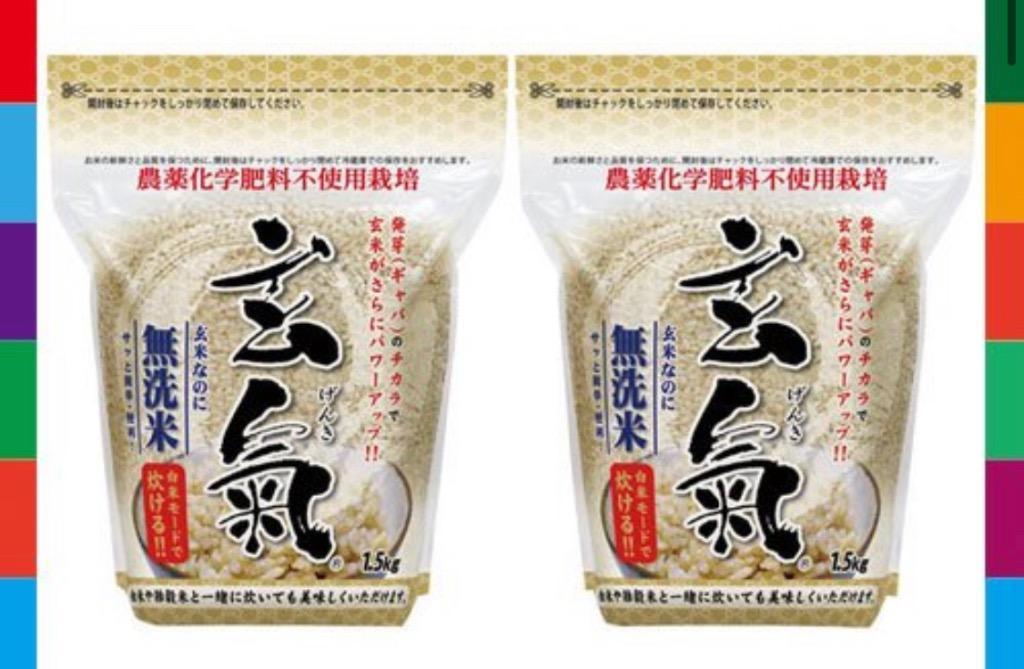 無洗米 玄米 玄氣1.5kg×2個 計3kg 無農薬 真空パック 川島米穀店