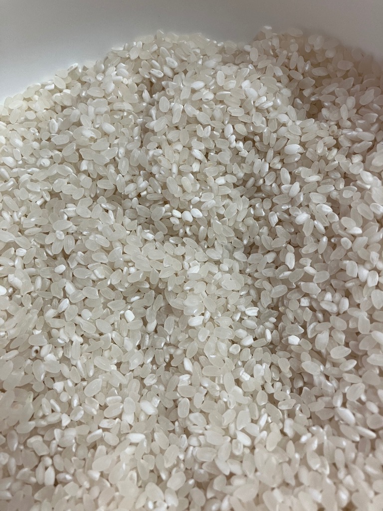 4月26日以降発送】 お米 10kg 1袋 国内産 オリジナルブレンド米