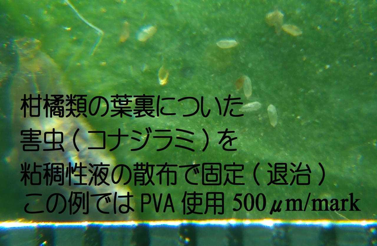 全体のレビュー画像 | 0-0