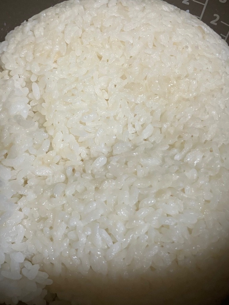 ひとめぼれ 宮城県産 選べるお米 玄米30kg or 白米27kg 令和7年産 検査
