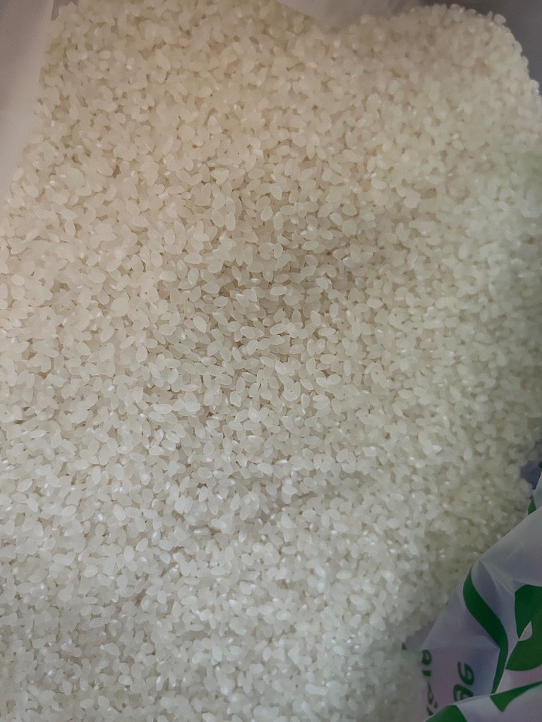 つや姫 宮城県産 選べるお米 玄米30kg or 白米27kg 令和7年産 検査一等