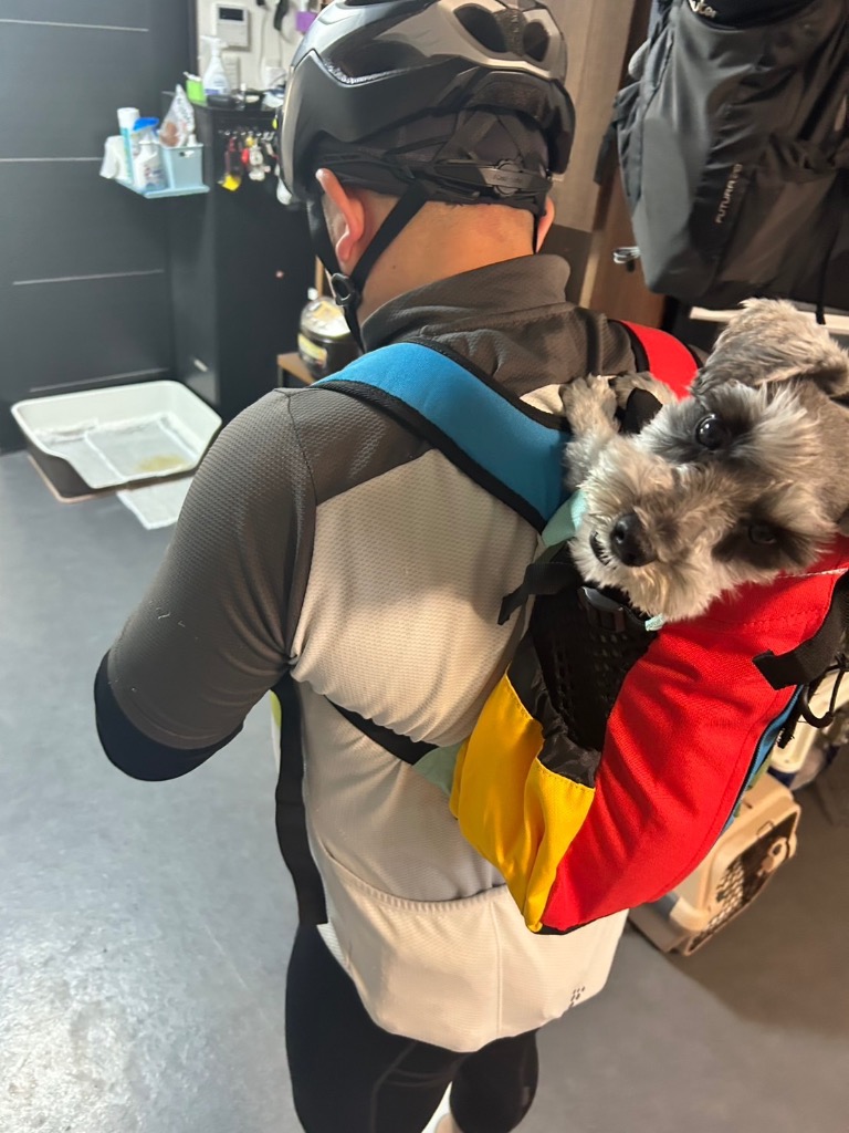 K9 SPORT SACK（K9スポーツサック） エア 2 K9 SPORT SACK AIR 2 / 犬