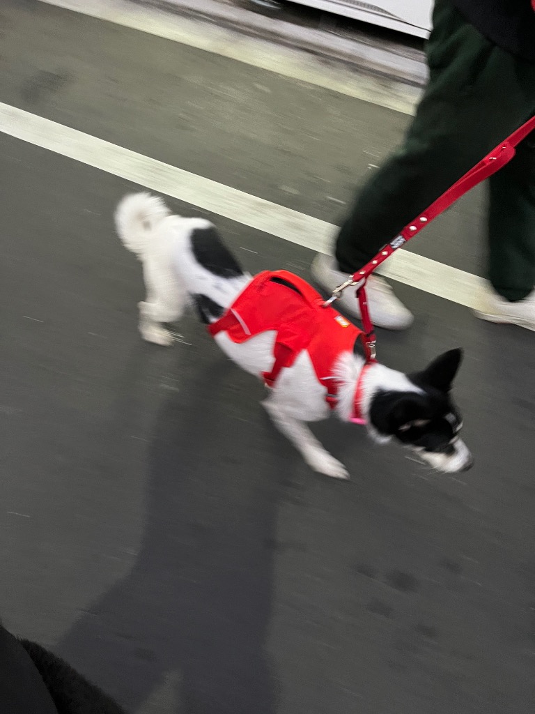 1件目のレビュー画像 | 0