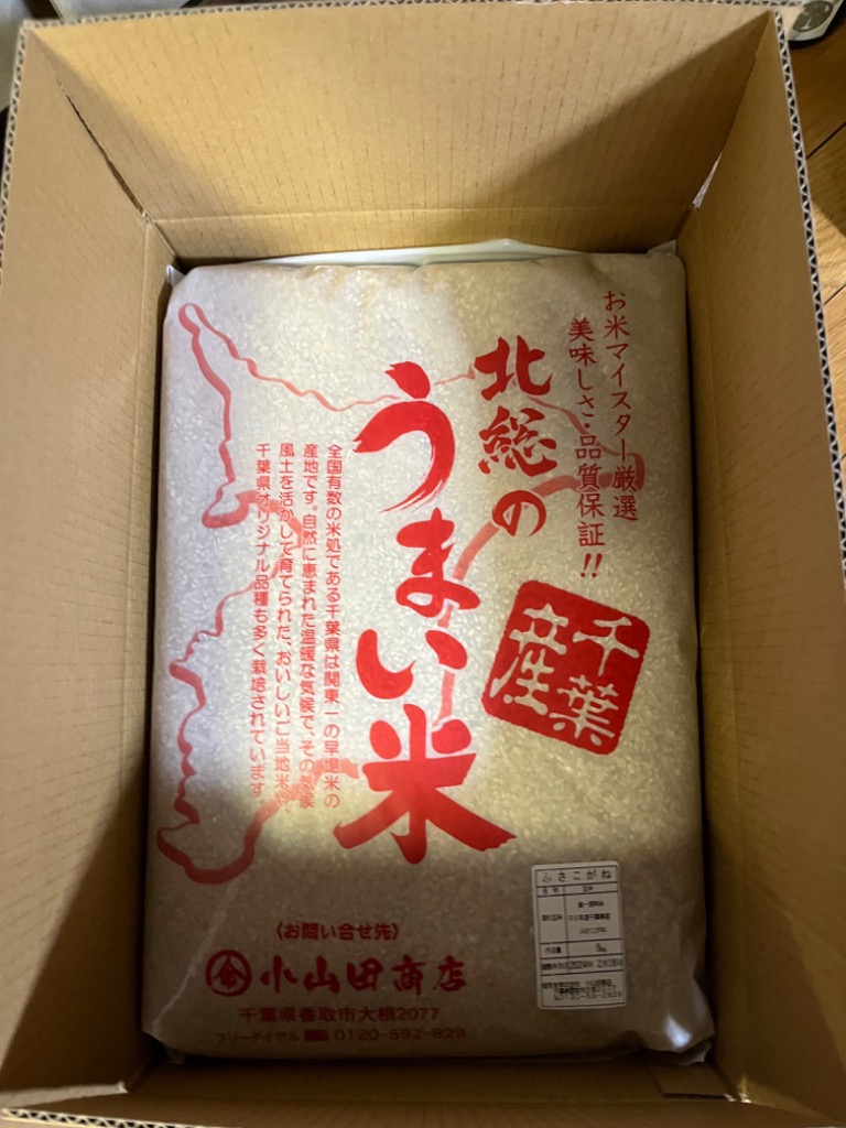 米 玄米 10kg 令和5年 千葉県産 ふさこがね お米 こめ 千葉産 白米 