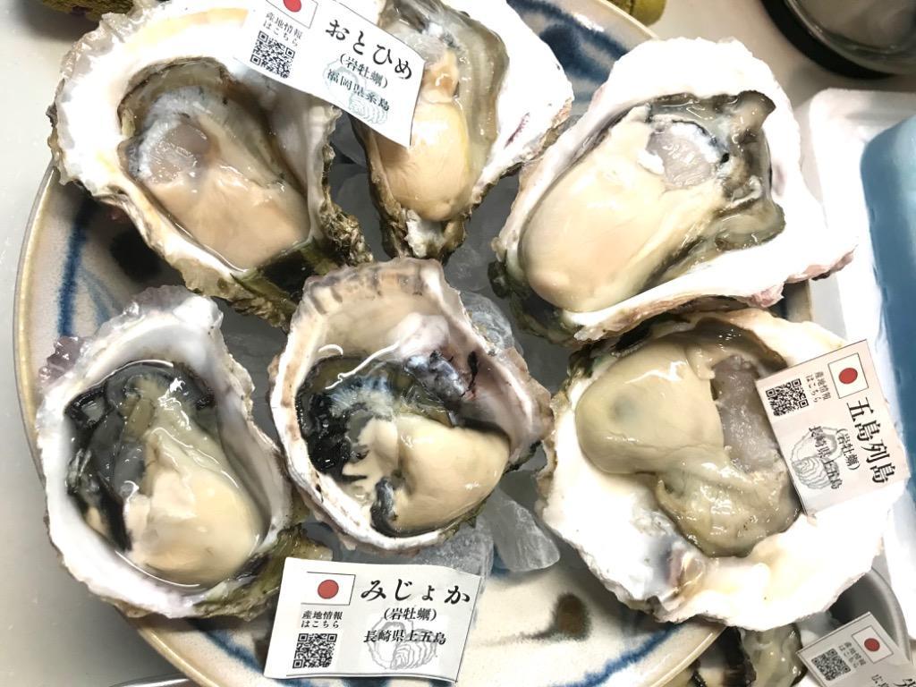 ブランド生牡蠣食べ比べ！9種食べ比べ2粒づつ計18粒！牡蠣ナイフ軍手セット サービス中！ :recommend18:世界の牡蠣 日本の牡蠣 食べ比べ  - 通販 - Yahoo!ショッピング